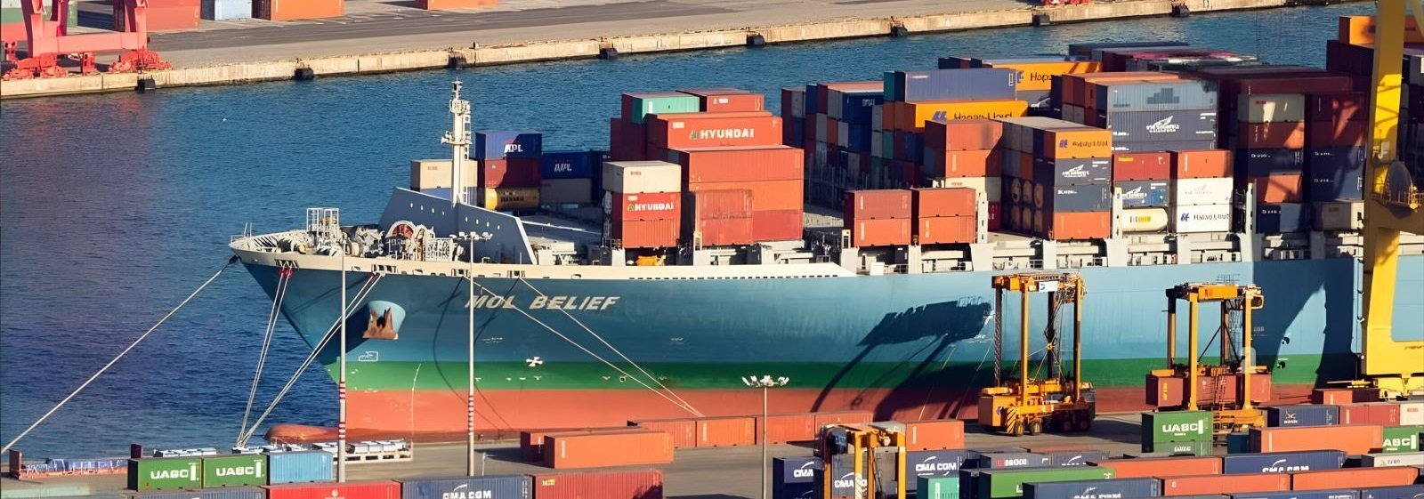 MAKE YOUR BOOKING TODAY