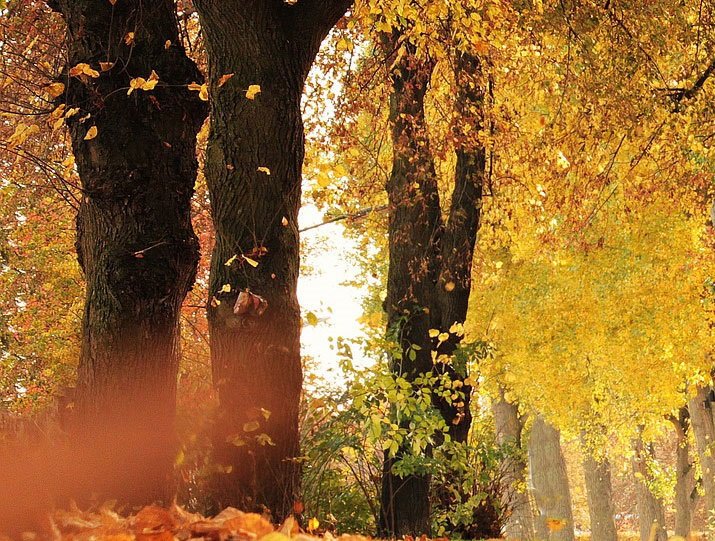 happy clients receiving cars